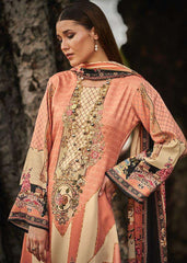 Fancy Work Pashmina Salwar Suit