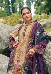 Luxury Pashmina Suits